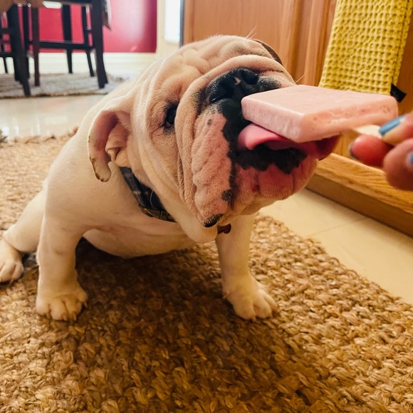 Meet your Posher, Alma - Picture 10 of 12